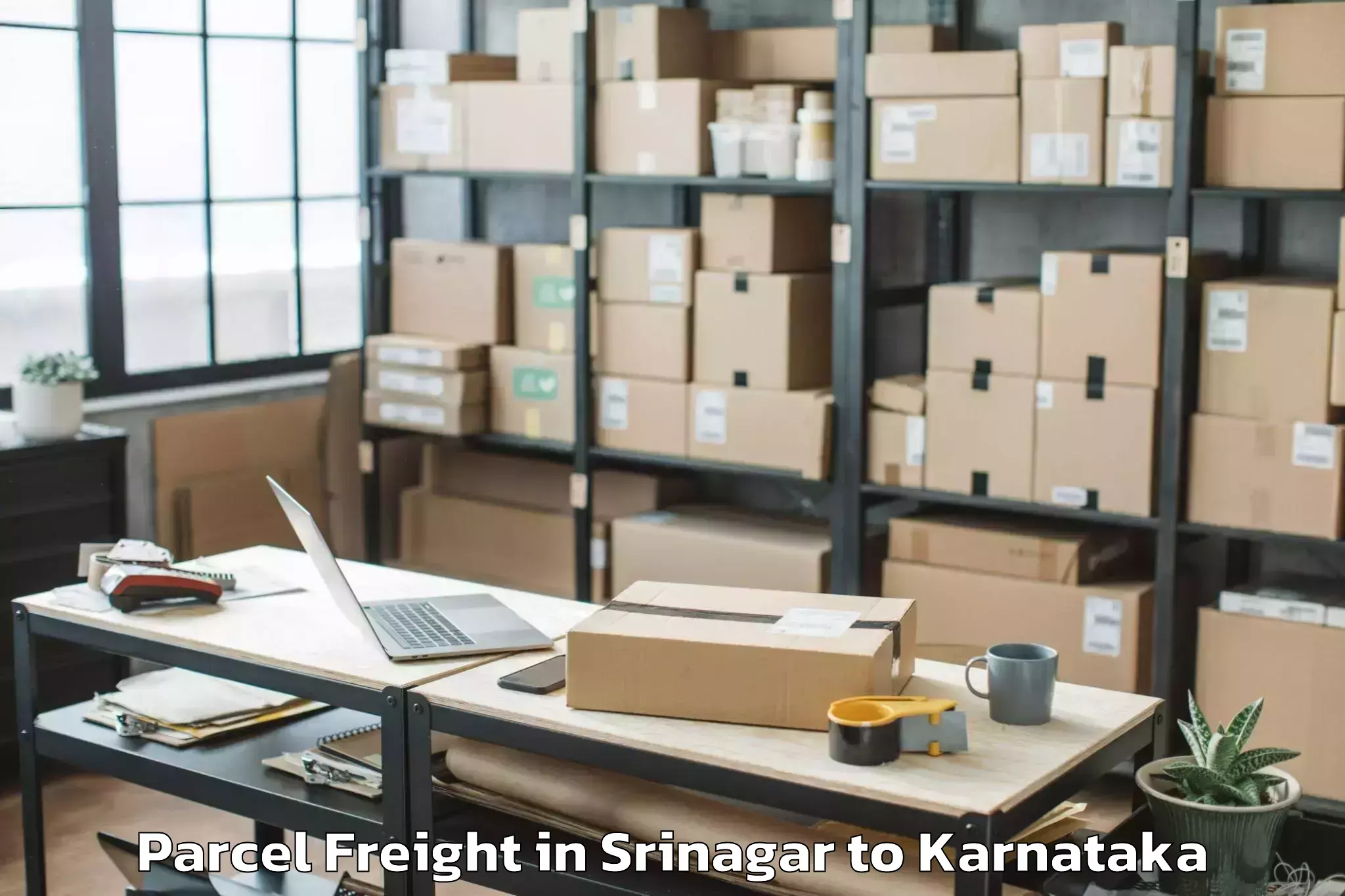 Book Srinagar to Karnataka Parcel Freight Online